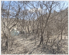  2025Ÿ��646 ���� ���ֽ� ������ ǳ���� 66      ����(��1)���