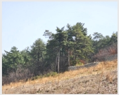  2025Ÿ��1199 ���� ���� ������ 480-26       ����,â�����