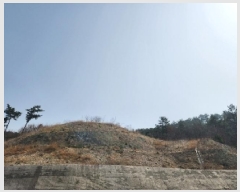  2025Ÿ��1199 ���� ���� ������ 480-26       ����,â�����