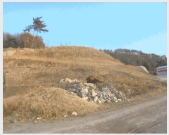  2025Ÿ��1199  â�����