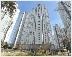  2025Ÿ��2246  ����Ʈ���