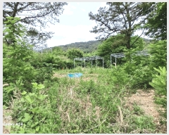  2025Ÿ��2864 ���� ��籺 ���繮�и� ������ ��39-4      ����(�Ӿ�)���