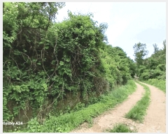  2025Ÿ��2864 ���� ��籺 ���繮�и� ������ ��39-4      ����(�Ӿ�)���