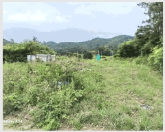  2025Ÿ��2864 ���� ��籺 ���繮�и� ������ ��39-4      ����(�Ӿ�)���