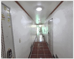  2025Ÿ��3935  �ٸ����ð��