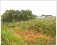  2025Ÿ��4129 ���� ���ֽ� �հ�� ��긮 304-5      ����(��)���