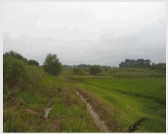  2025Ÿ��4129 ���� ���ֽ� �հ�� ��긮 304-5      ����(��)���