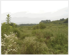  2025Ÿ��4129 ���� ���ֽ� �հ�� ��긮 304-5      ����(��)���