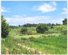  2025Ÿ��4129 ���� ���ֽ� �հ�� ��긮 304-5      ����(��)���