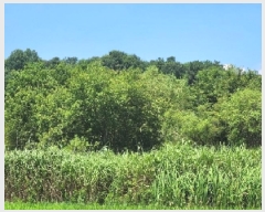  2025Ÿ��4129 ���� ���ֽ� �հ�� ��긮 304-5      ����(��)���