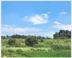  2025Ÿ��4129 ���� ���ֽ� �հ�� ��긮 304-5      ����(��)���