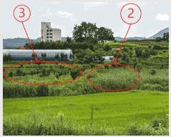  2025Ÿ��4761  ����