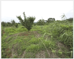  2025Ÿ��4761  ����