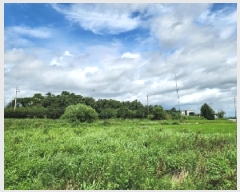  2025Ÿ��4761  ����