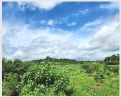  2025Ÿ��4761  ����