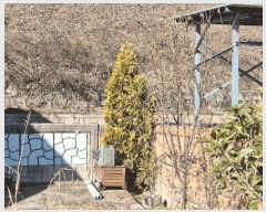  2025Ÿ��6767 ���� �强�� ���̸� ���� 523-3      ���ð��