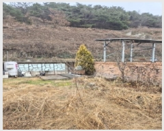  2025Ÿ��6767 ���� �强�� ���̸� ���� 523-3      ���ð��