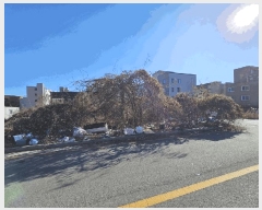  2025Ÿ��8152  �������