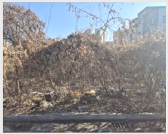  2025Ÿ��8152  �������