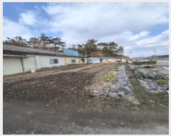  2025Ÿ��30531  ���ΰ��