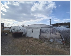  2025Ÿ��30531  ���ΰ��