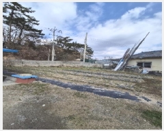  2025Ÿ��30531 ���� ������ ����� ���Ǹ� 1249-3      ����(������)���