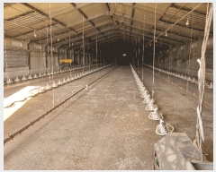  2025Ÿ��30685  ���(�󰡽ü�)���