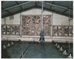  2025Ÿ��30685  ���(�󰡽ü�)���