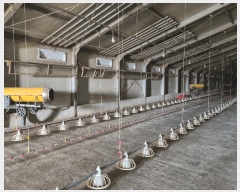  2025Ÿ��30685  ���(�󰡽ü�)���