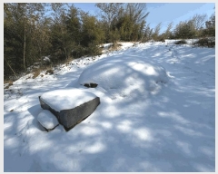  2025Ÿ��31962  �Ӿ߰��