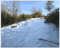  2025Ÿ��31962  �Ӿ߰��