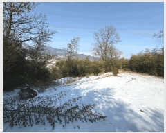  2025Ÿ��31962  �Ӿ߰��