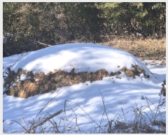  2025Ÿ��31962  �Ӿ߰��