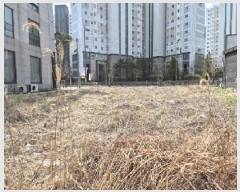  2025Ÿ��32214  �������