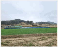  2025Ÿ��32257  �������