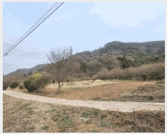  2025Ÿ��32416  �����