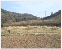  2025Ÿ��32416  �����