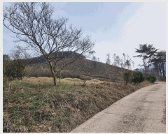  2025Ÿ��32416  �����