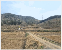  2025Ÿ��32416  �����