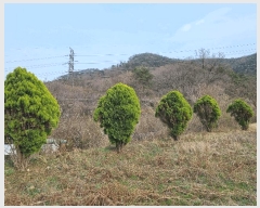  2025Ÿ��32416  �����