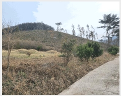  2025Ÿ��32416  �����