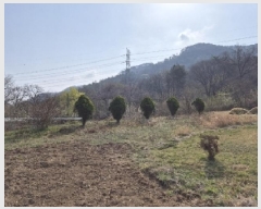  2025Ÿ��32416  �����