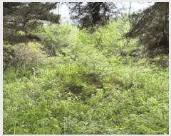  2025Ÿ��32448  �Ӿ߰��