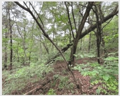  2025Ÿ��32448  �Ӿ߰��