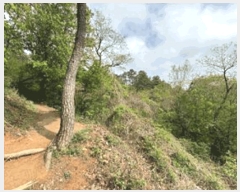  2025Ÿ��32448  �Ӿ߰��