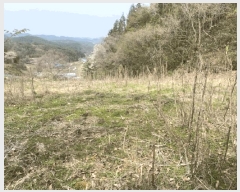  2025Ÿ��32556 ���� ȭ���� �̾�� �ʹ渮 873      ����(��)���