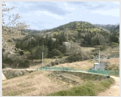  2025Ÿ��32556 ���� ȭ���� �̾�� �ʹ渮 873      ����(��)���