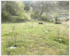  2025Ÿ��32556 ���� ȭ���� �̾�� �ʹ渮 873      ����(��)���