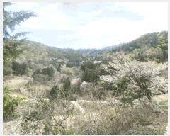  2025Ÿ��32556 ���� ȭ���� �̾�� �ʹ渮 873      ����(��)���