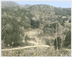  2025Ÿ��32556 ���� ȭ���� �̾�� �ʹ渮 873      ����(��)���